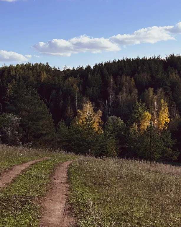 Большой дом с душой у соснового леса