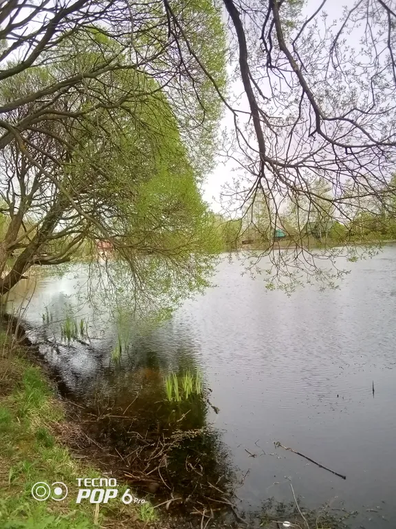 Квартира у живописного тихого пруда