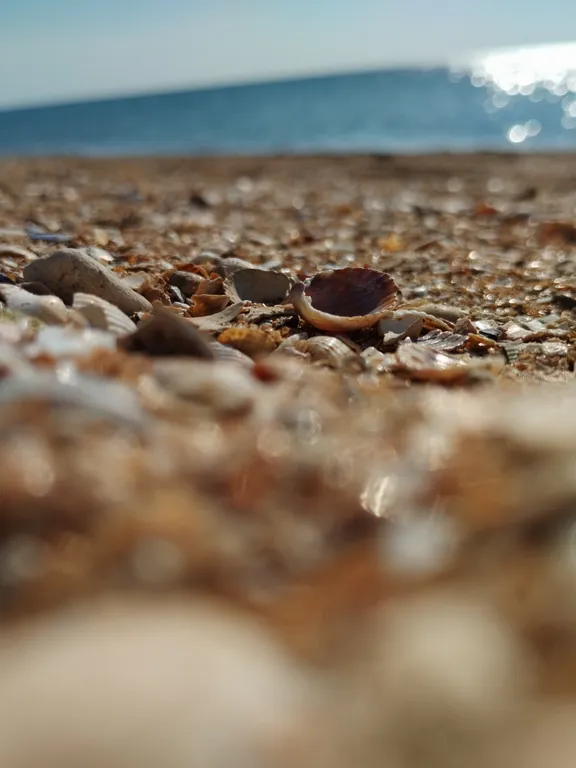 Уютный домик