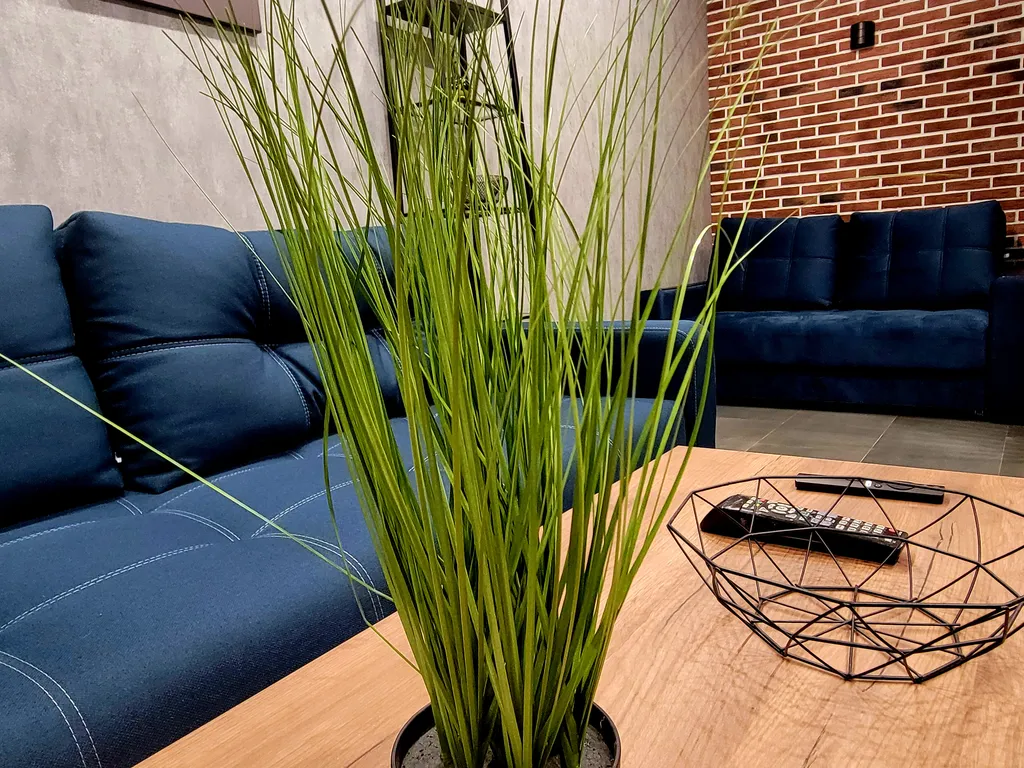 Квартира Абсолютно новые апартаменты Loft у моря с террасой — Светлогорск