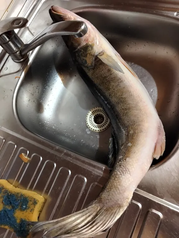 Домик в глуши