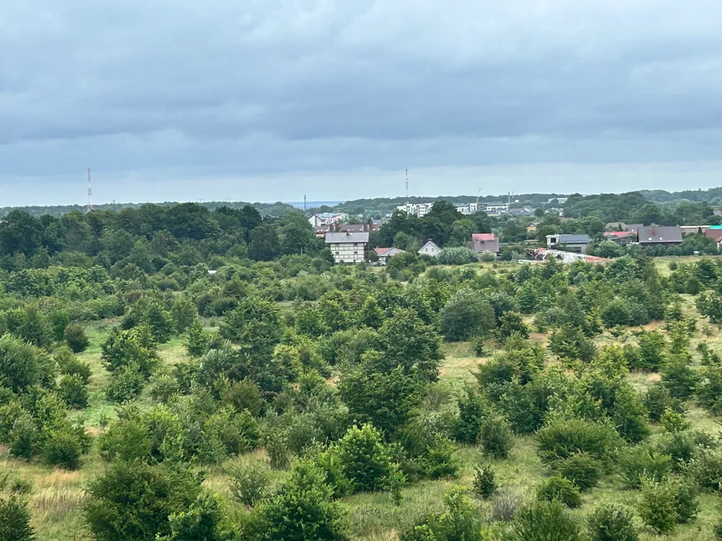 Квартира с живописным видом