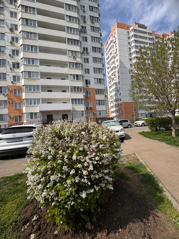 Квартира Квартира ЖК Восточный (парк Галицкого) — Краснодар