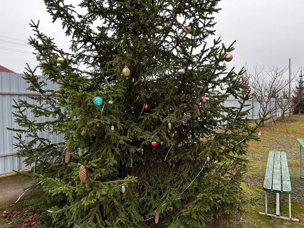 Коттедж 2 этажа в уединенном месте Бреста с парковкой во дворе