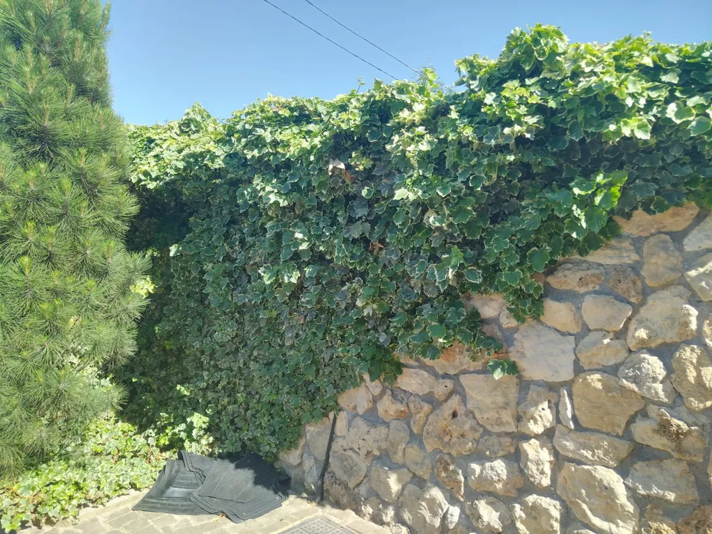 Замок у мыса Фиолент