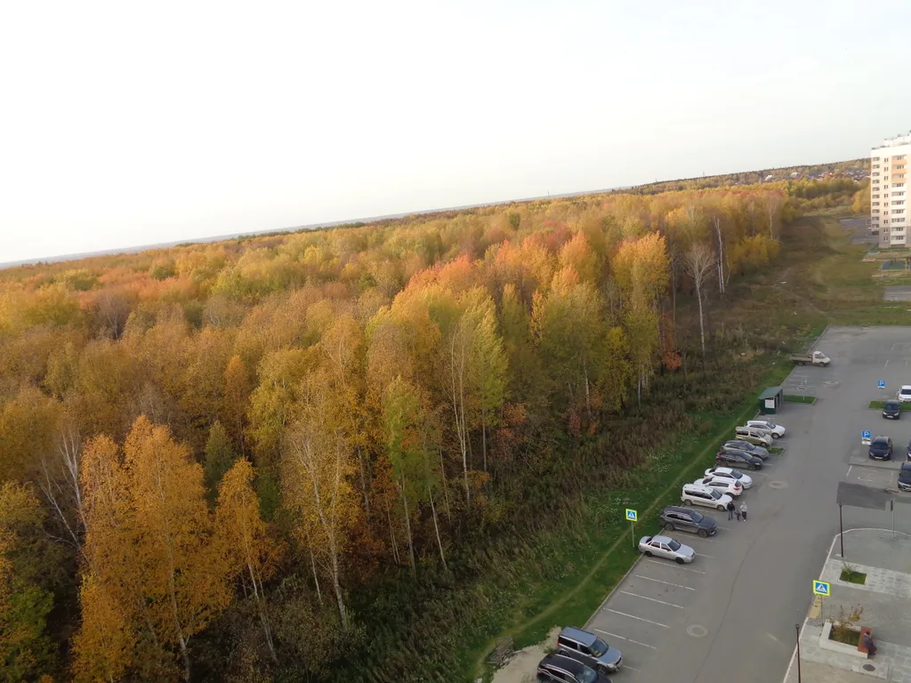 Уютная квартира с видом на лес