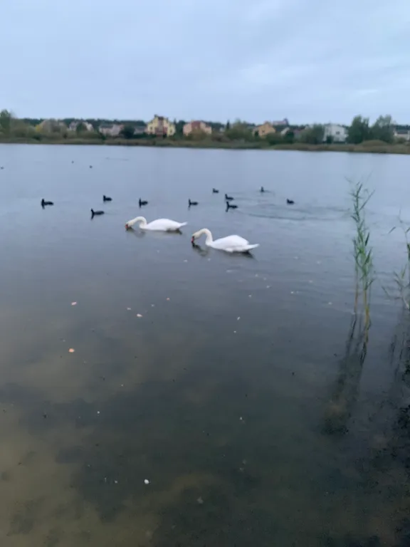 Домик у озера