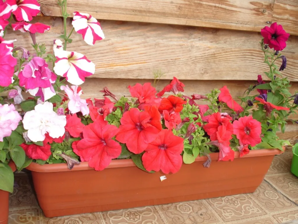 В гостях у сказки 1