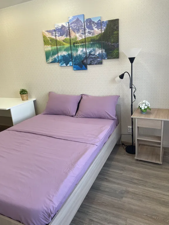 Большая уютная квартира