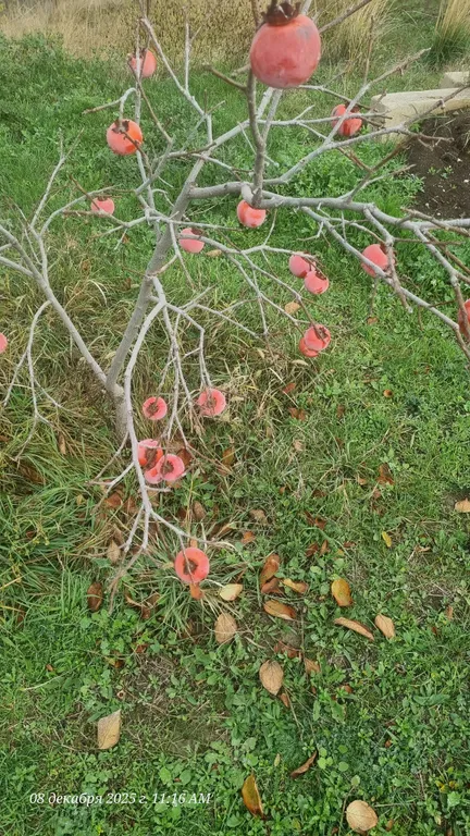 2хместная комната с балконом