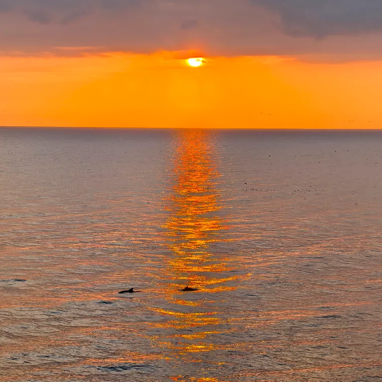 Апартаменты бизнес-класса с видом на море