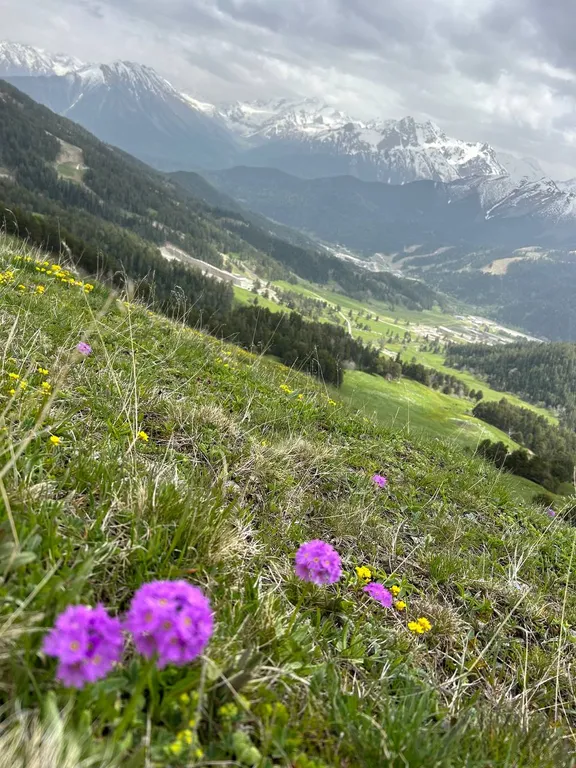 Коттедж Коттедж Шале Viking Аrkhyz — Архыз