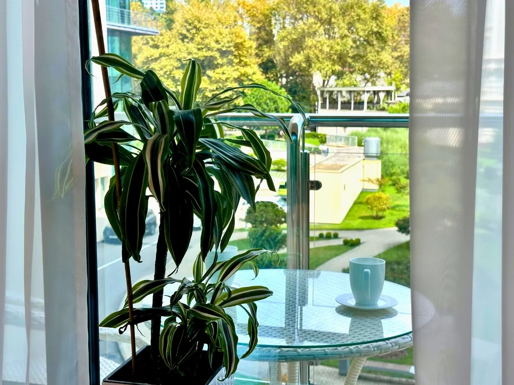 Дизайнерские апартаменты Coral Apart в центре Сочи