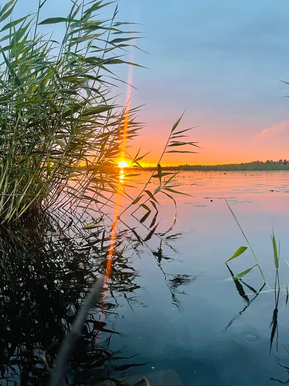 Дом на берегу озера Логмозеро