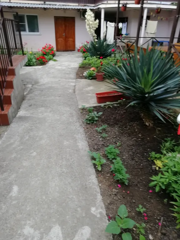 Отдых у Надежды