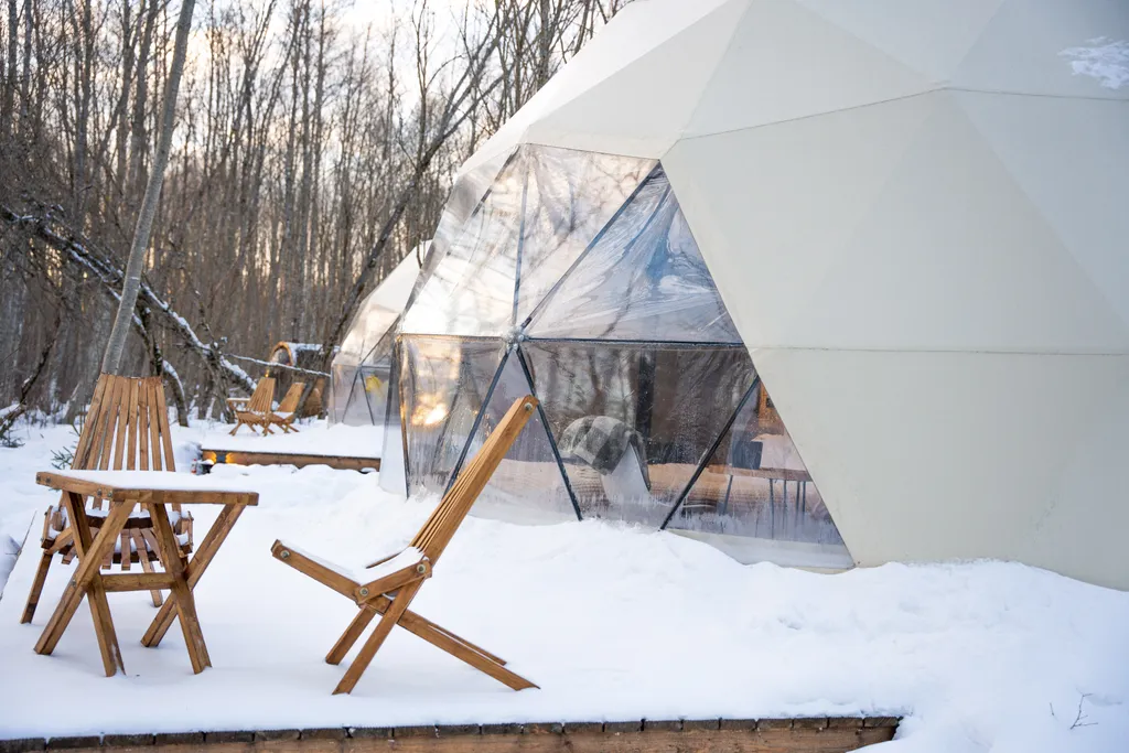 Коттедж Панорамный всесезонный купол с видом в лес — Сиверский