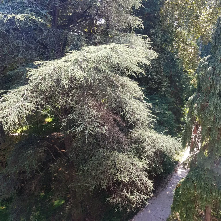 Квартира 2-комнатная Квартира — Сириус