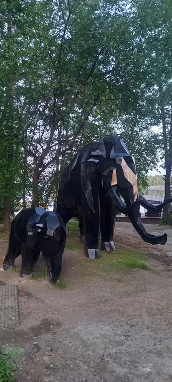 Оз. Еловое санаторий сосновая горка Уютная Квартира