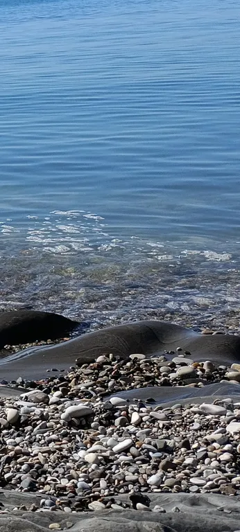 Квартира с террасой