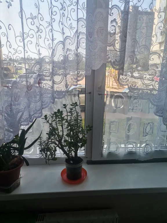 Квартира в центре Кировска