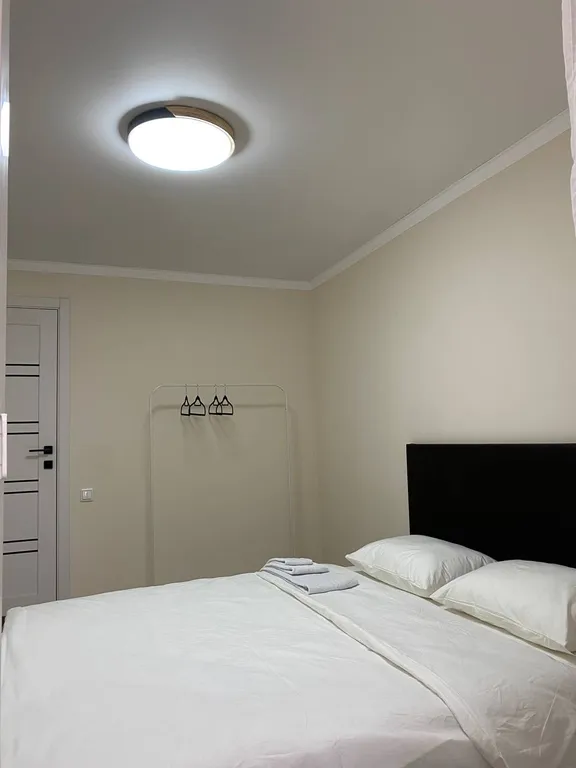 Новые аппартаменты на Пушкина