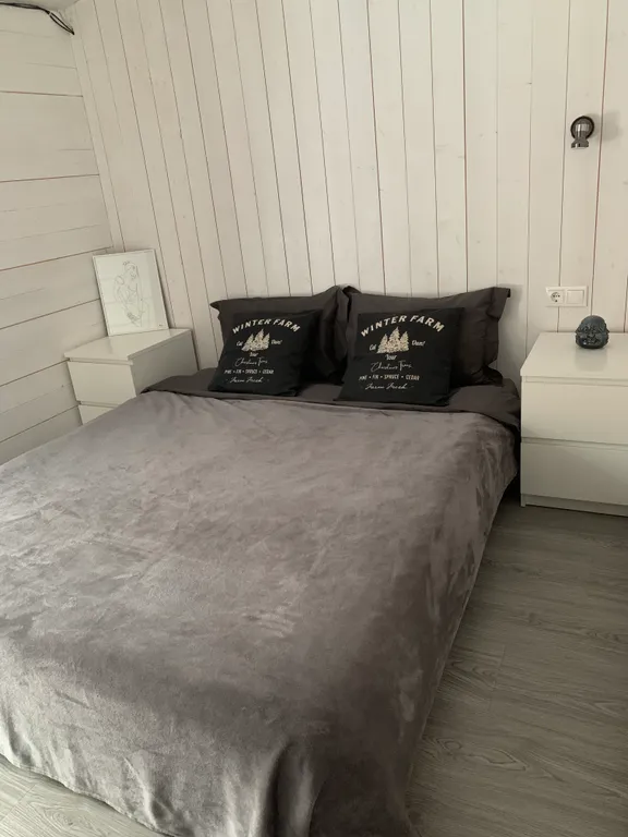 Домик близ Сорочан 2