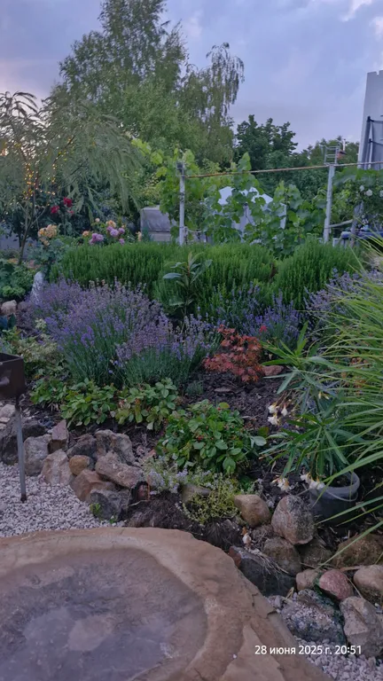 Трехместный номер Лаванда/Олива