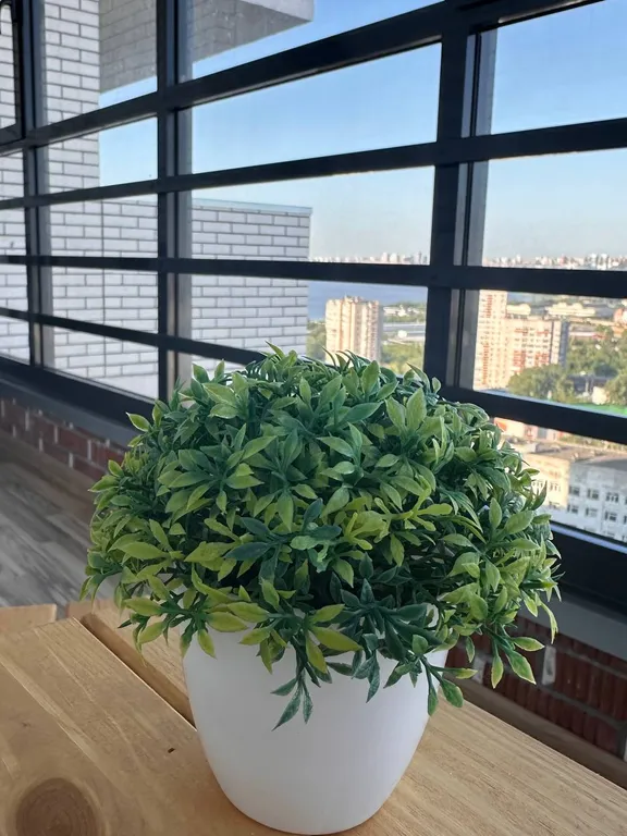 Апартаменты с видом на пруд