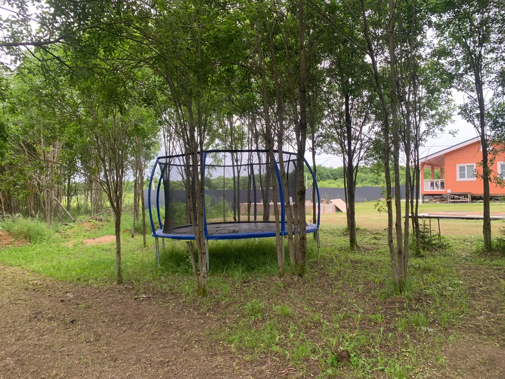 Два новых дома на большом участке с лесом