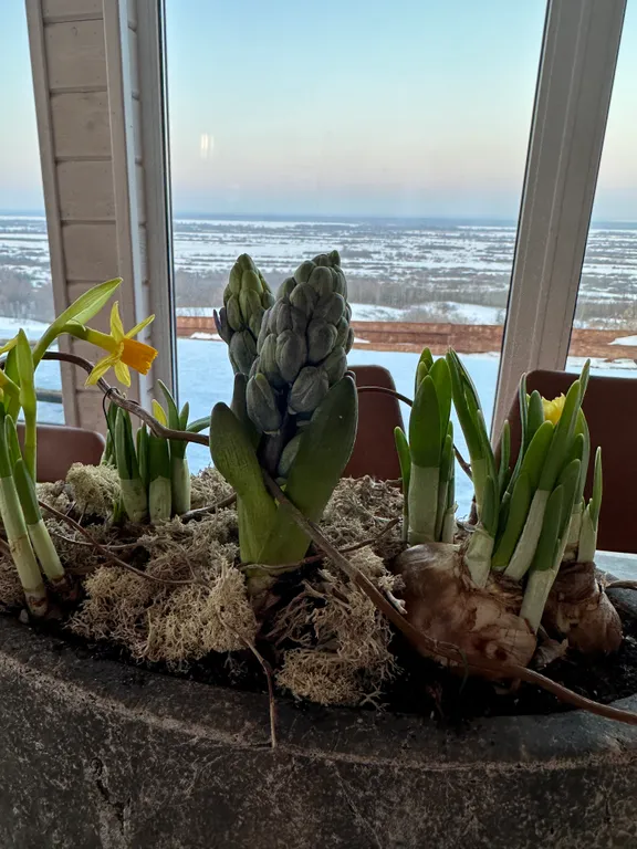 Barnnnov - дом для эстетов