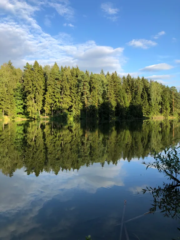 Дом с сауной у пруда