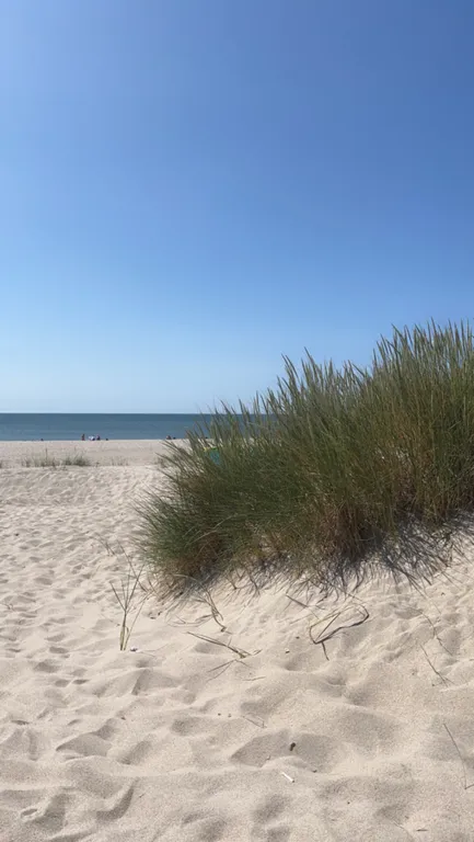 Квартира Шикарная квартира у моря — Пионерский