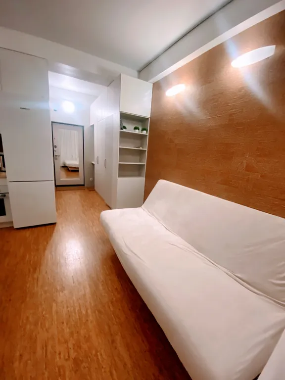 Тихая комфортная уютная студия