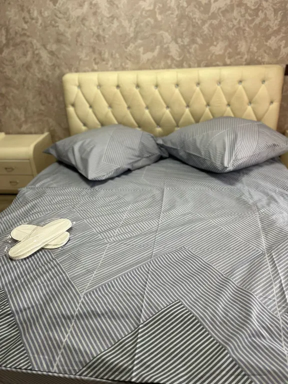 Двухкомнатная квартира в центре