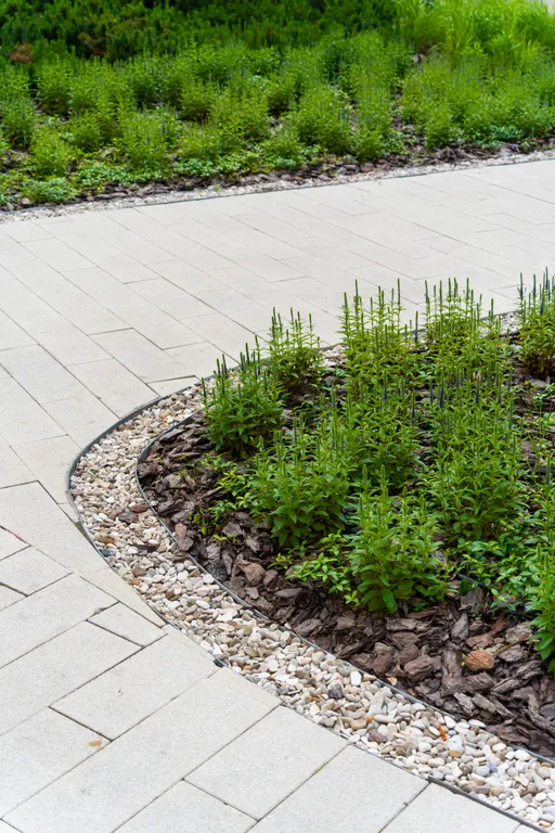 Апартаменты EL&T на Петроградке