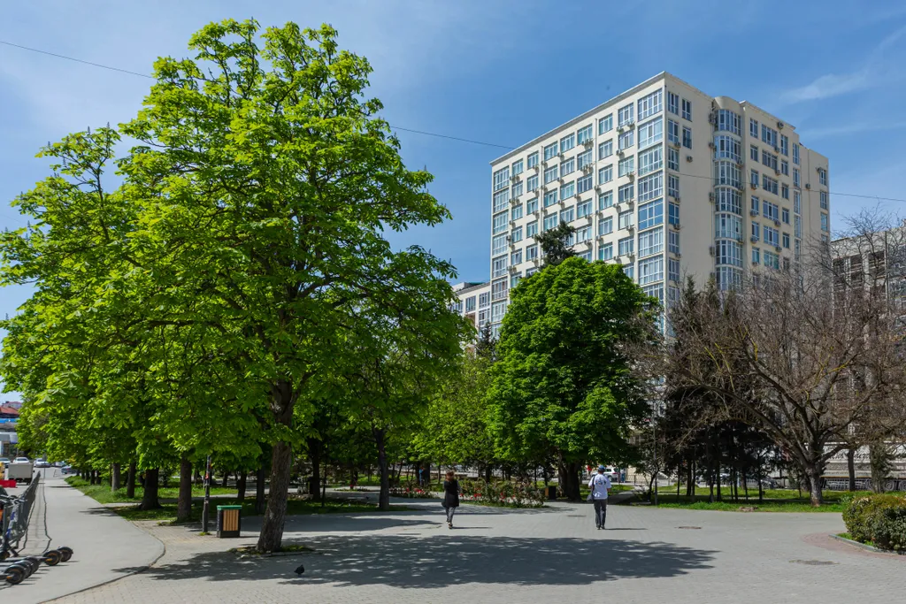 Квартира 1-комнатная Квартира — Севастополь