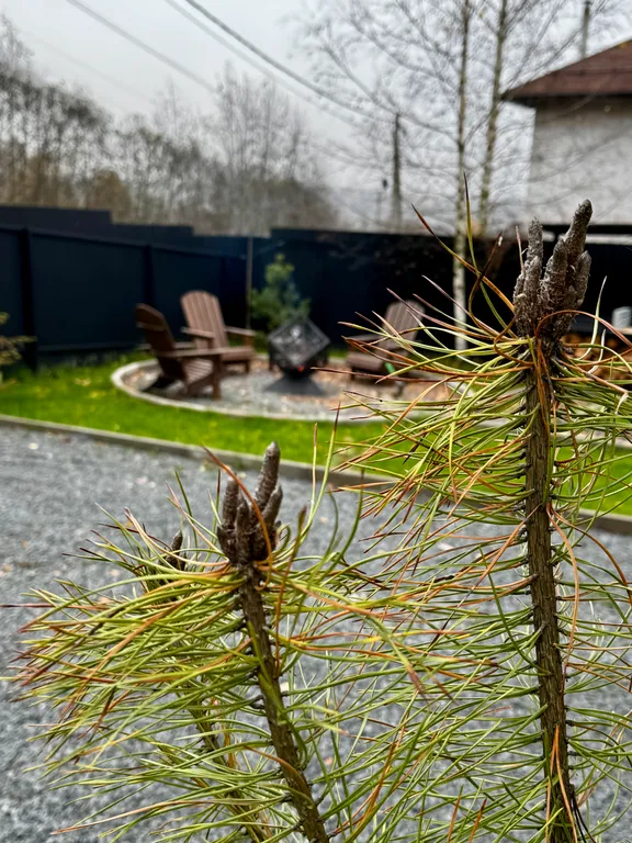 Новенький дом с сибирским чаном