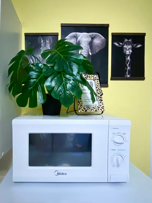 Студия Африка