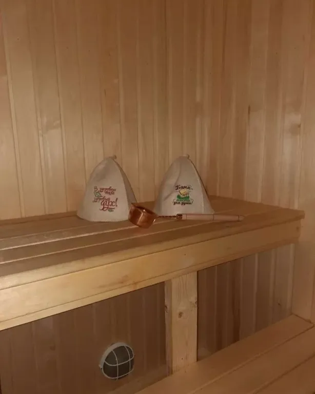 Дом-баня с видом на лес