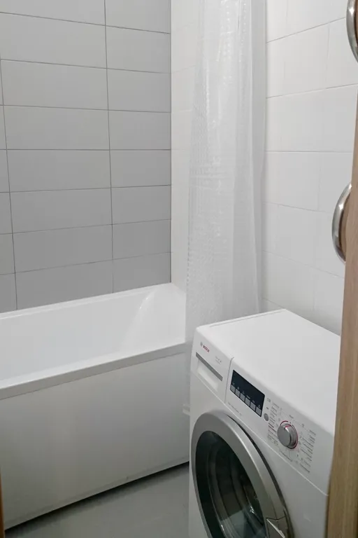 У залива среди сосен