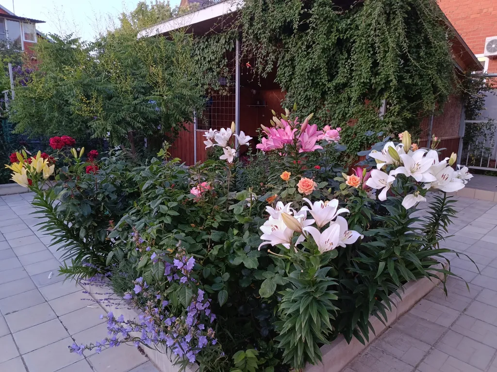 Двухместная комната в частном доме