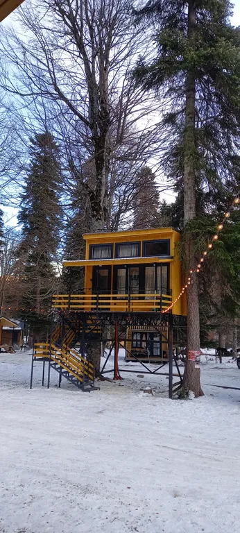 Коттедж Дом на дереве — Архыз