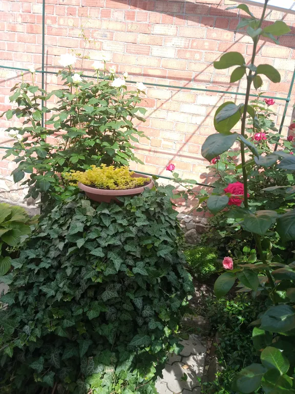 Уютная квартира-студия в центре города