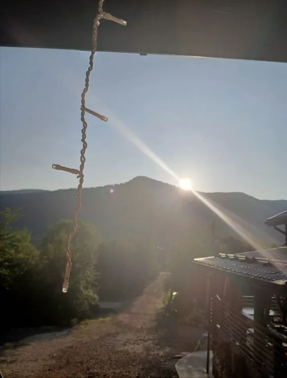 Таунхаус в лесу