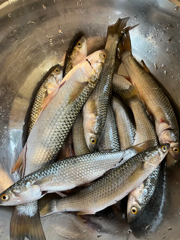 A-Frame на берегу реки, рыбалка с пирсом в Береговом