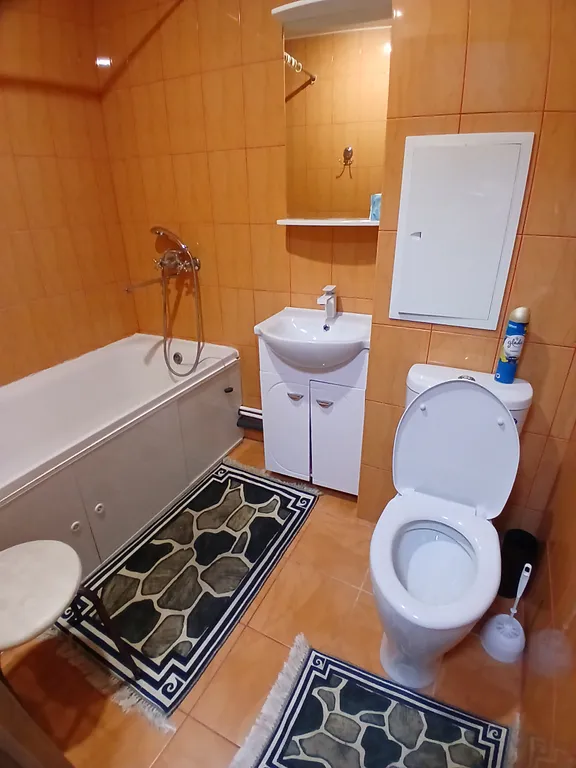 Уютная однокомнатная квартира