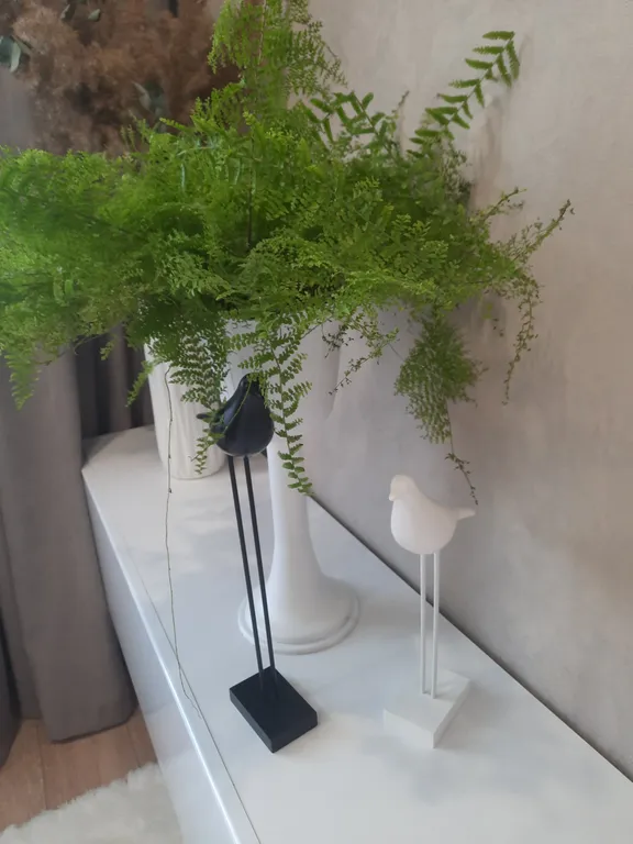 Уютная квартира — аренда посуточно в Екатеринбург