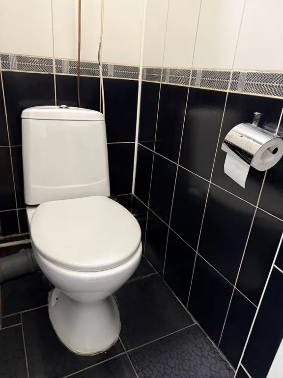 Уютная однокомнатная квартира