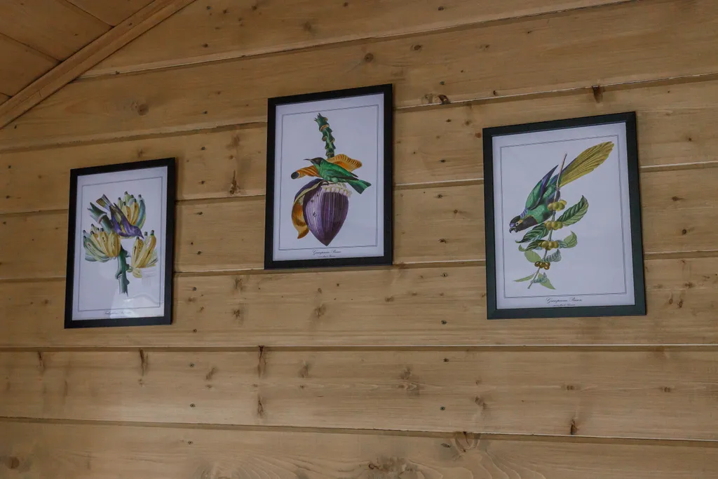 Уютный коттедж в лесу у пруда