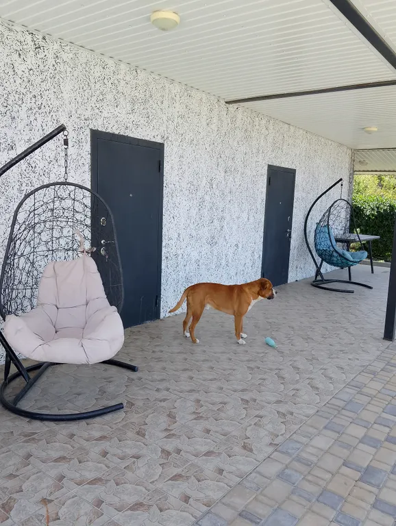 Квартира Уютные студии в Балаклаве — аренда посуточно в Балаклава